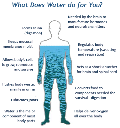 The Six Pillars of Health: Hydration